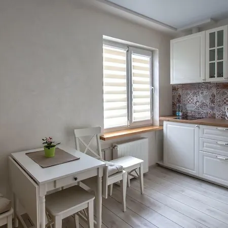 Classic Old Town Apartment Druskininkai